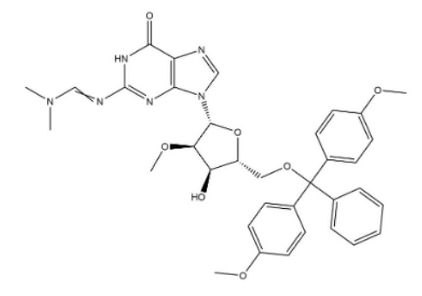 5'-O-DMT-N2-dimethylformamidine-2'-O-methylguanosine